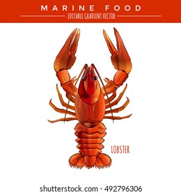 Red Lobster. Marine Food