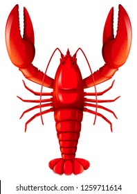 A Red Lobster On White Background Illustration