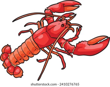 Red Lobster Prawn Wild Animal Vector Illustration