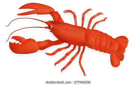 Red lobster with shadow isolated on white background. Seafood menu for meal or dinner. Healthy eating. Marine product. Design for restaurant menu, logo, promo poster, flyer or product packaging.Vector