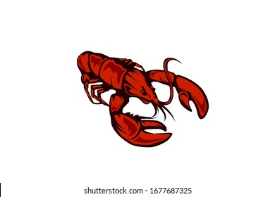 Red Lobster Shrimp Vector Illustration