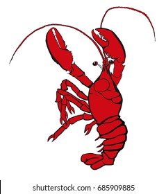 Red lobster template. vector