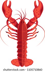 Red lobster from a top angle view, isolated vector illustration in a flat modern color style.