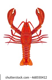 Red Lobster top view Illustration Isolated on white background. Editable Clip Art. 