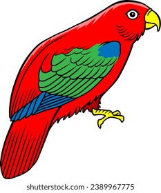 Red lori bird  vector illustration isolated on white background