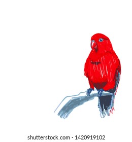 Red lory Eos bornea is a species of parrot in the family Psittaculidae live in Indonesia, New Guinea, Australia and the Pacific. sketch markers, freehand drawing. Vector