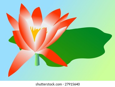 red lotus