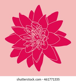 Red Lotus Flower, Vector, Illustration, Top view, Pink Background