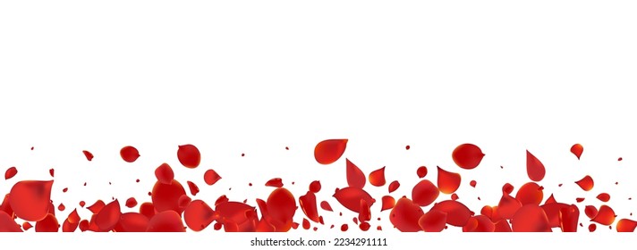Red Lotus Fly Vector Panoramic White Background. Blur Petal Design. Delicate Cherry Spring Cover. Beautiful Flower Japanese Wallpaper.