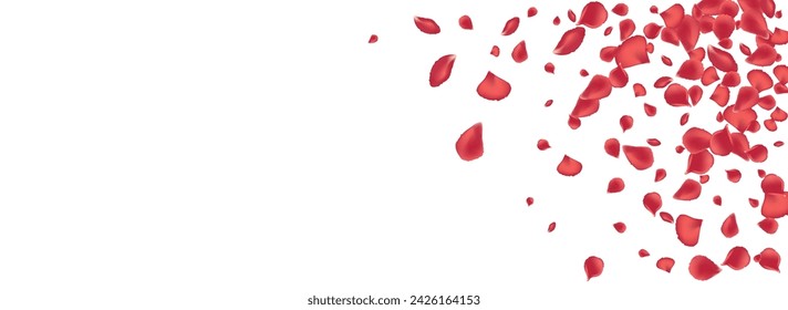 Red Lotus Fly Vector Panoramic White Background. Falling Peach Cover. Delicate Petal Summer Wallpaper. Beautiful Rose Japanese Texture.