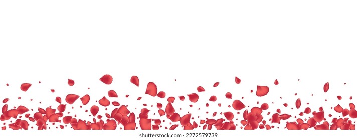 Red Lotus Flying Vector Panoramic White Background. Japanese Flower Cover. Pink Sakura Falling Frame. Beautiful Floral Fall Banner.