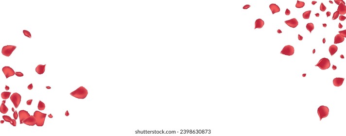 Red Lotus Japan Vector Panoramic White Background. Blur Blossom Illustration. Delicate Peach Summer Pattern. Beautiful Cherry Fly Cover.