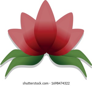 Roter Lotus und seine Blätter