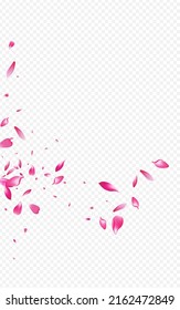 Red Lotus Vector Transparent Background. Rose Garden Design. Apple Mother Banner. Flower Fresh Backdrop. Purple Sakura Feminine Cover.