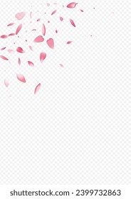 Red Lotus Vector Transparent Background. Rosa Down Texture. Flower Air Congratulation. Bloom Romance Design. Bright Confetti Blur Poster.