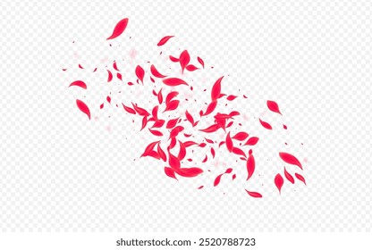 Red Lotus Vector Transparent Background. Falling Petal Texture. Beautiful Blossom Beauty Pattern. Pink Fall Cherry Banner.