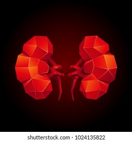 Red low poly human kidneys on a black background. Abstract anatomy organ. Kidneys in 3D polygon style.
