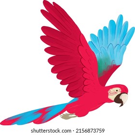 Rotmakrele-Fliege-Vektorgrafik
