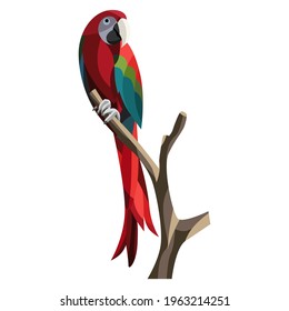 Red macaw parrot perched on a twig vector illustration