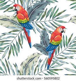 Red macaw parrots with palm leaves on the white background. Vector seamless pattern. Tropical illustration with birds and plants. 
