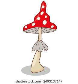 red magic mushroom fly agaric, on a white background. hand drawn. vector.	