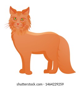 Red maine coon icon. Cartoon of red maine coon vector icon for web design isolated on white background