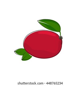 Red Mango Isolated on White Background, Tropical Fruit Mango, Vector Illustration