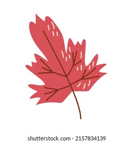 icono de hoja de otoño de arce rojo