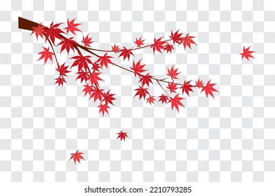 Red Maple Branch isolated on fake transparent background. vector illustration