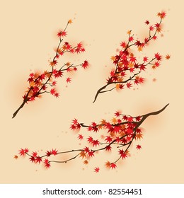 Red maple branches in autumn