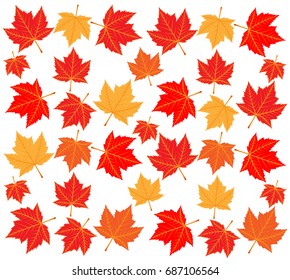 Red Maple - illustration
Autumn, Falling, Season, Abstract, Canada