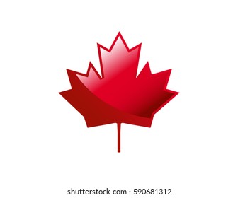Red maple leaf