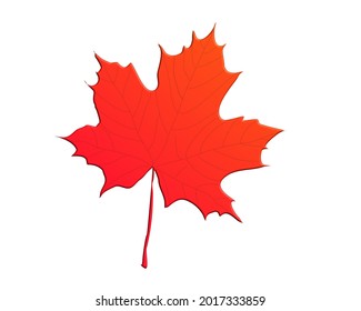 Red maple leaf 3D vector 
