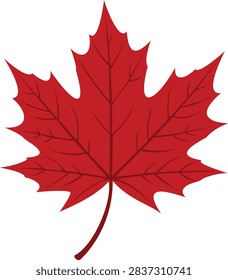 Red Maple Leaf Autumn Fall Vector Illustration