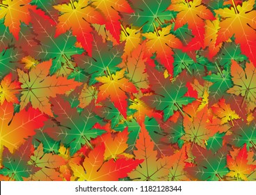 Red maple leaf background collection. Autumn season maple leaf background. Vector EPS10