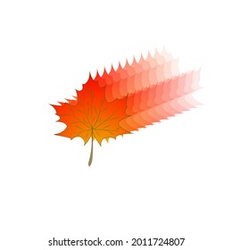 Red maple leaf blurred on white background. Symbol of Canada. Vector illustration.