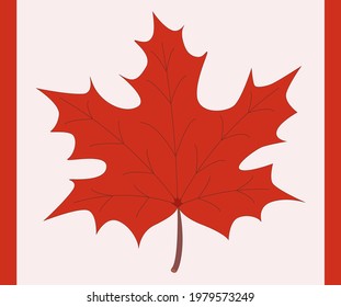Red maple leaf. Canada Day. Flag of Canada. Holiday. Decor.