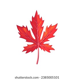 Red maple leaf, embodies autumn fiery hues. Its intricate veins capture nature artistry, celebrating the changing seasons. Isolated vector symbol of Canada, fall season forest foliage, single element