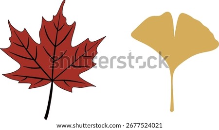 Red maple leaf and golden ginkgo leaf vector, a symbol of autumn's changing seasons. Perfect for fall designs, nature themes, and seasonal projects.