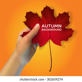 red maple leaf in his hand on an orange background, vector illustration