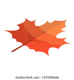 Red maple leaf icon. Isometric of red maple leaf vector icon for web design isolated on white background