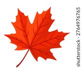 Red Maple Leaf Illustration Vector Template