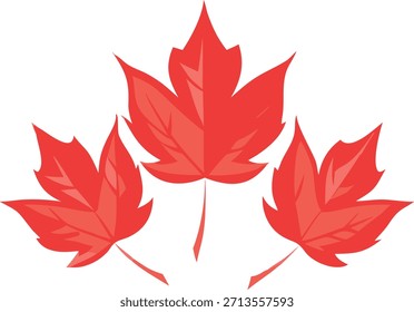 Red Maple Leaf Isolated on White Background