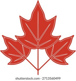 Red Maple Leaf Isolated on White Background