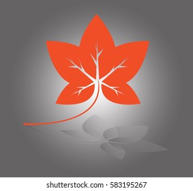 Red maple leaf isolated on gray vector - Illustration
Japanese Fall Foliage, Autumn, Season, Red Maple, Leaf,shadow
