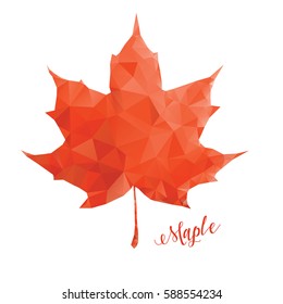 Red maple leaf in low poly style with lettering isolated