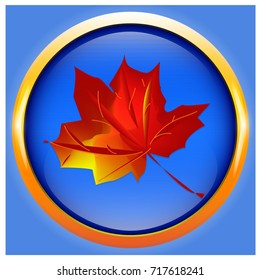 Red maple leaf on a blue shiny background. Beautiful autumn background.