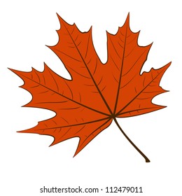 36,148 Maple leaf veins Images, Stock Photos & Vectors | Shutterstock