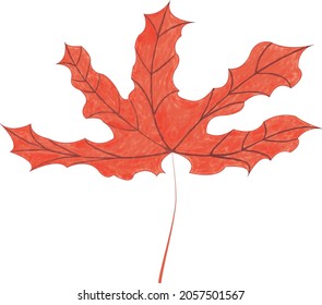 Red maple leaf painting vector image illustration