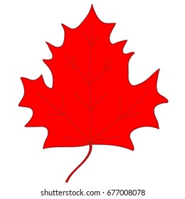 Red Maple leaf sign isolated on white background. Color nature logo. Botany autumn wood or garden symbol. Ecology flat silhouette. Foliage mark. 